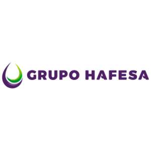 grupo_hafesa_logo